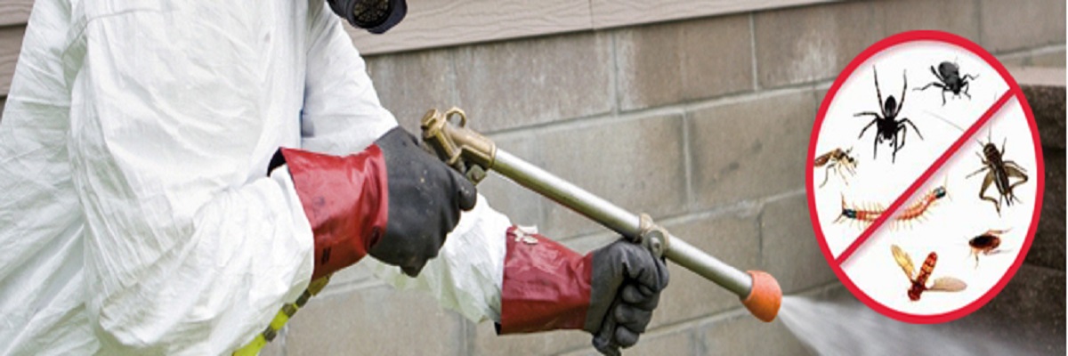 mosquite treatment
